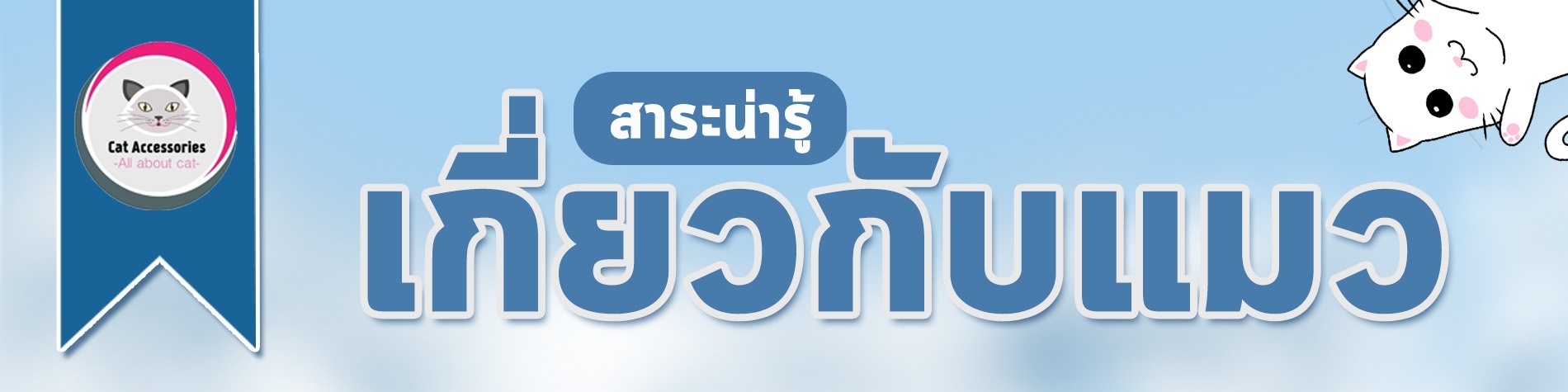 สาระน่ารู้เกี่ยวกับแมว